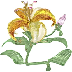 Florere Lilie