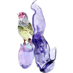 Idyllia Gouldamadine und Orchidee