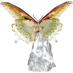 Idyllia Schmetterling