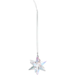 Stern Ornament