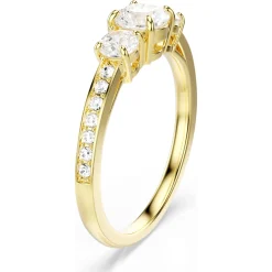 Stilla Attract Ring